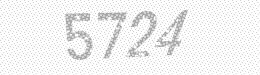 Visual security code — type the characters shown in the image